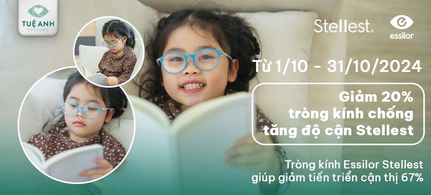 promotion t10