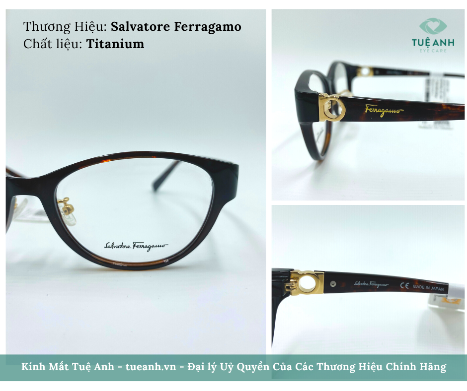 Kính Mắt Salvatore Ferragamo
