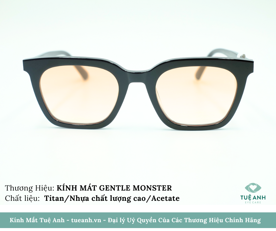 KÍNH MÁT GENTLE MONSTER - BLACK 2023